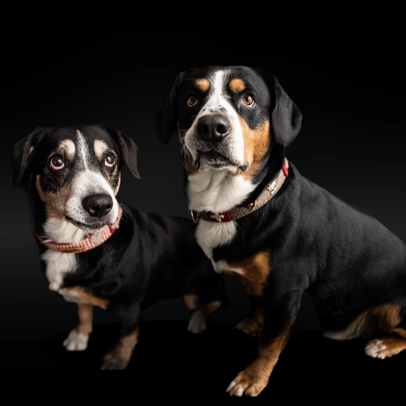Portrait von Gipsy & Toni 