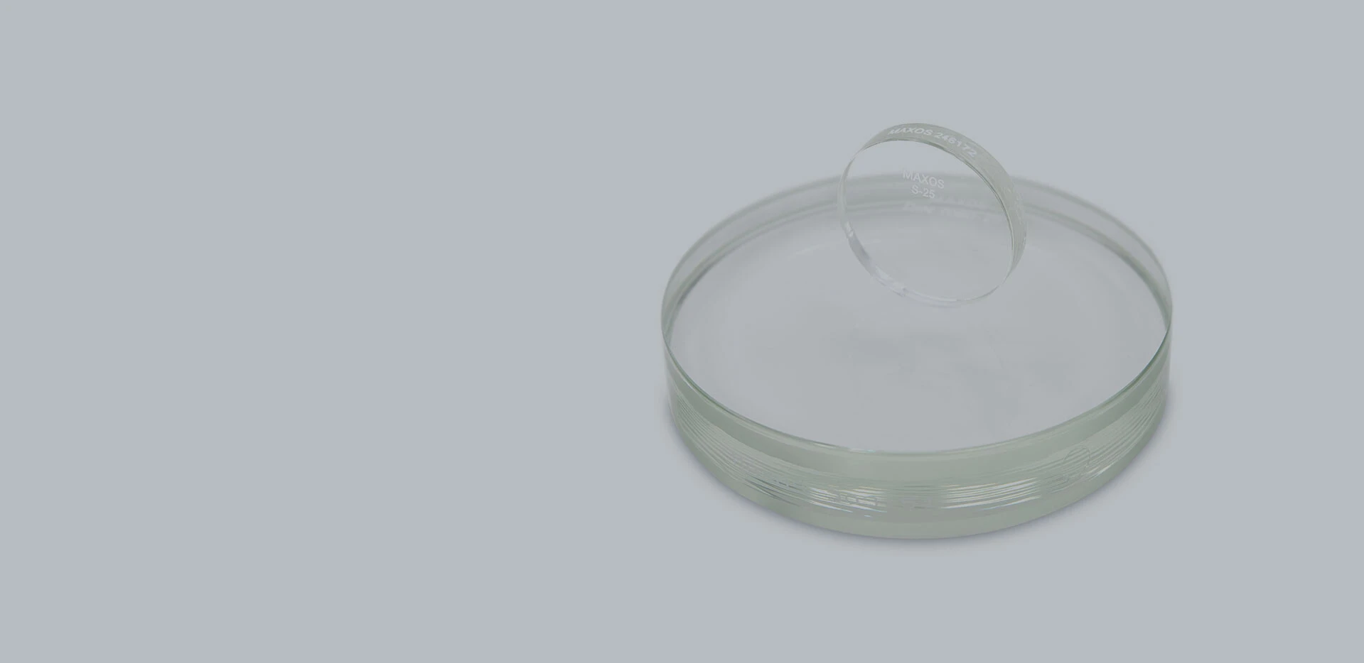 Une boîte de Pétri ronde avec un couvercle transparent, sur un fond clair.