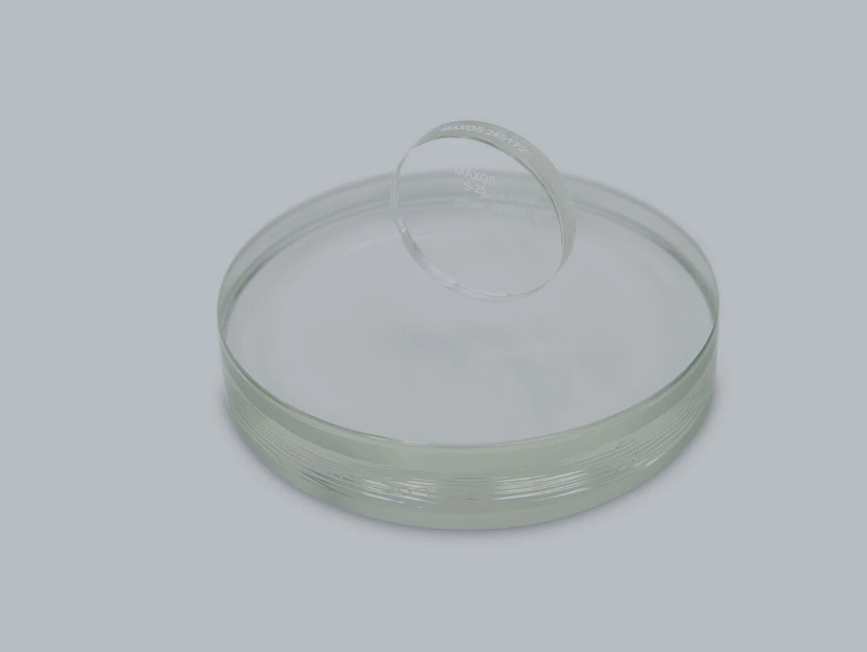 Une boîte de Pétri ronde avec un couvercle transparent, sur un fond clair.
